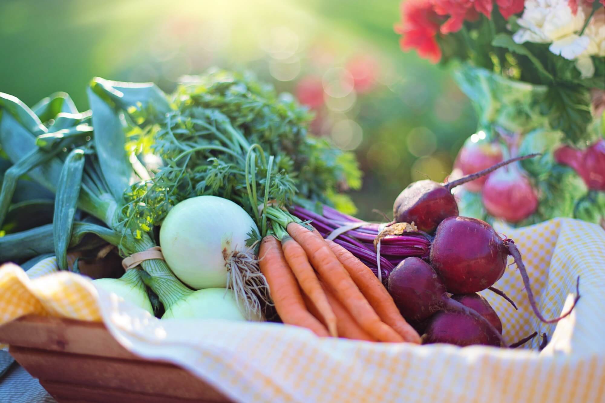 Agriculture Basket Beets 533360 Agriculture Basket Beets 533360
